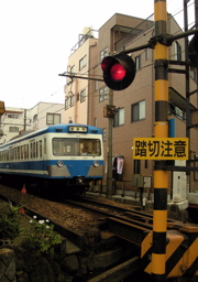 mishima_densha.jpg