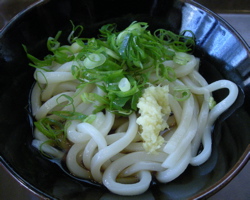 sanuki_udon.jpg