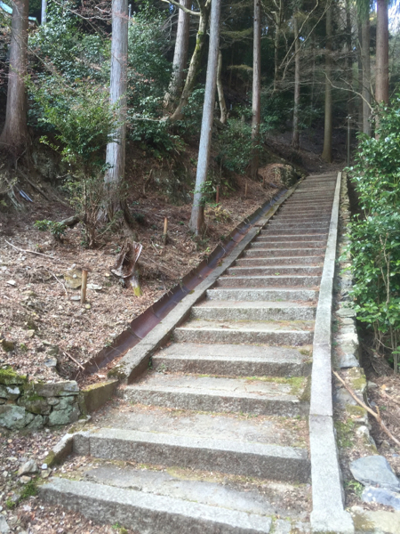 daigo_c