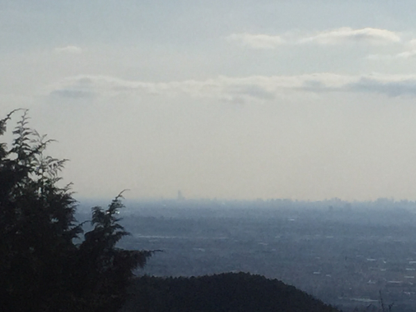 daigo_u